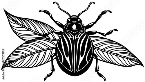 Stylized black and white beetle with leaf wings illustration