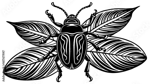 Stylized black and white beetle and leaf illustration