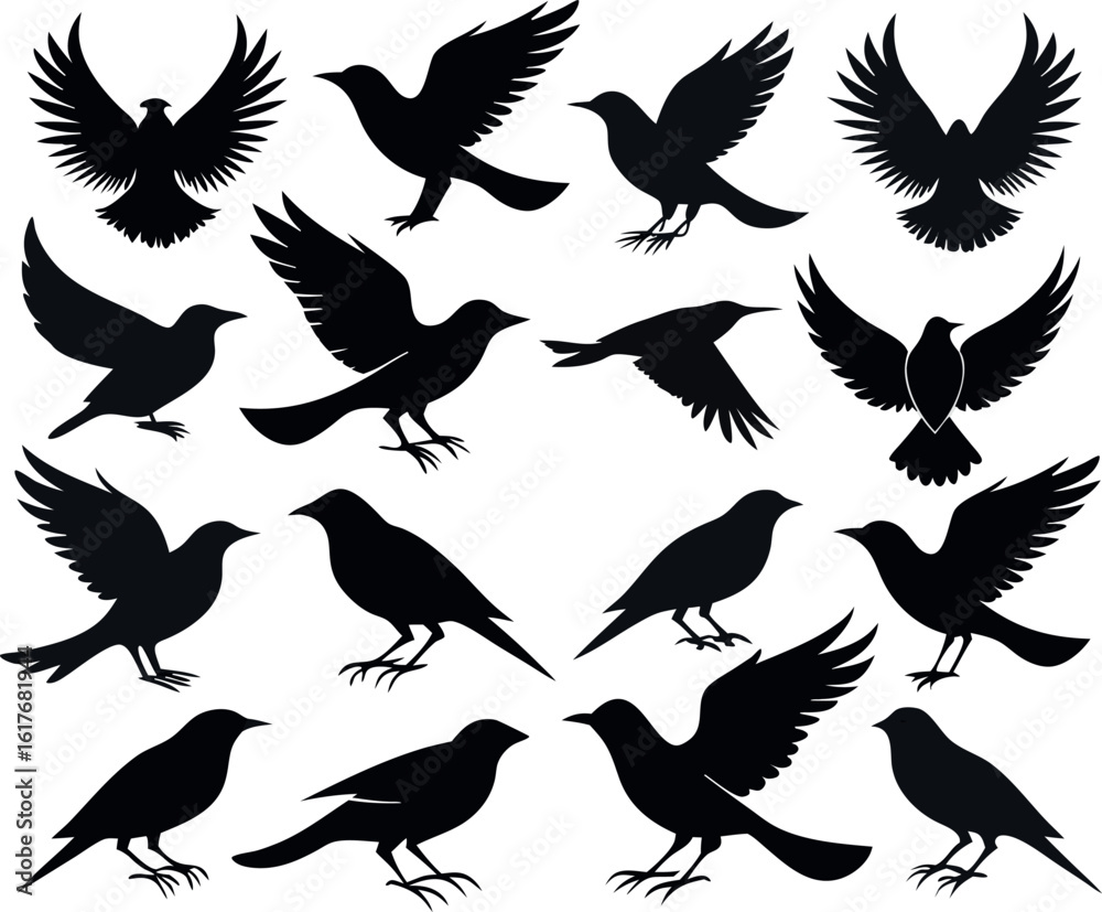 Fototapeta premium A collection of black bird silhouettes for graphic design
