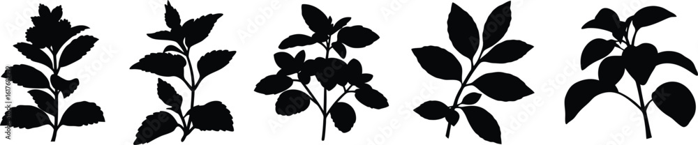 Fototapeta premium black and white leaves, botanical silhouettes, minimalist foliage, nature illustrations, monochrome floral patterns, abstract plant forms, stylized botanical elements, minimalist nature graphics