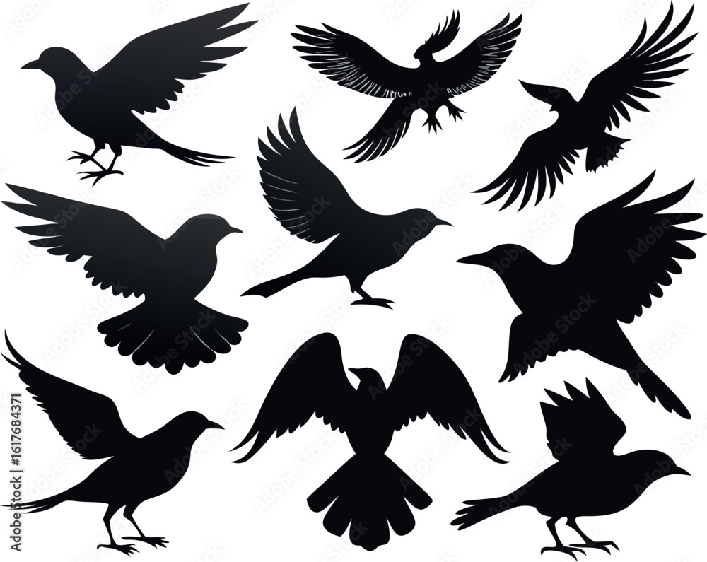 A collection of black bird silhouettes for graphic design A collection of black bird silhouettes for graphic design