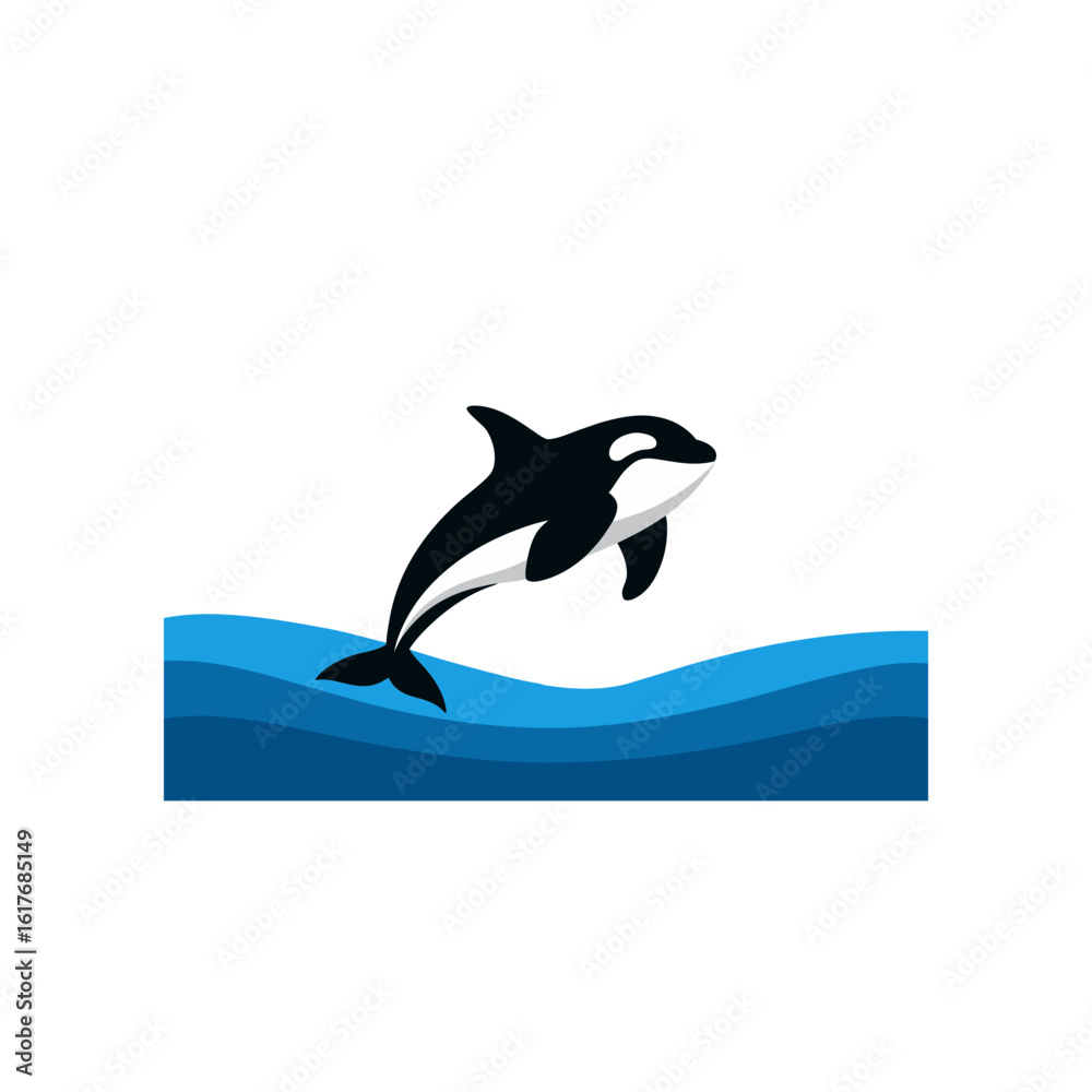 Obraz premium orca breaching above ocean surface