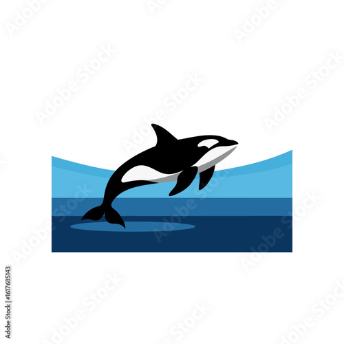 orca breaching above ocean surface