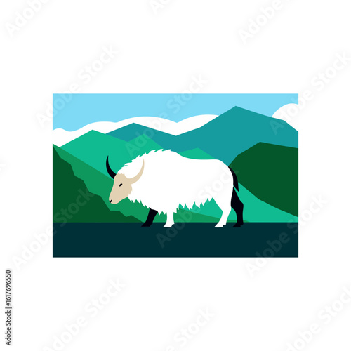 wild yak grazing on high altitude plateau