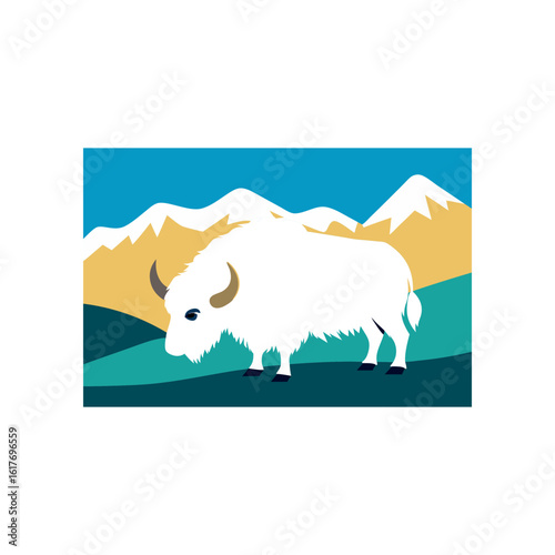 wild yak grazing on high altitude plateau