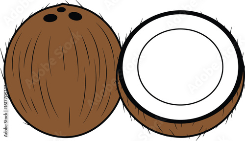 A halved coconut with brown shell and white flesh is isolated on white background, showcasing its tropical and healthy nature