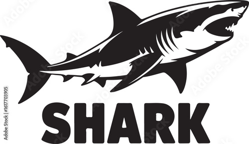Vector graphic of a menacing great white shark. Black and white stencil style illustration perfect for a team logo, mascot, or emblem. Ferocious marine wildlife design.