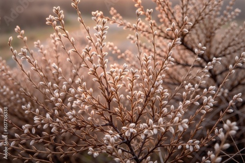 Piękne zdjęcia roślin z różnych stron świata.