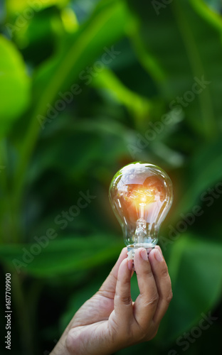 light bulbs green on background