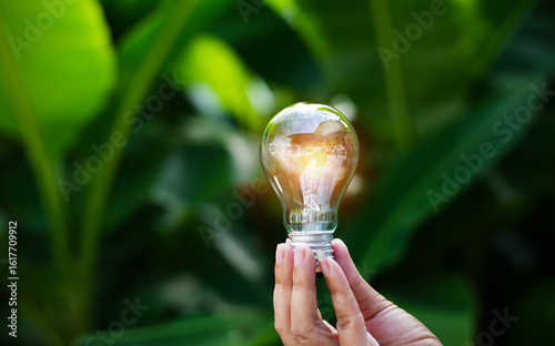 light bulbs green on background