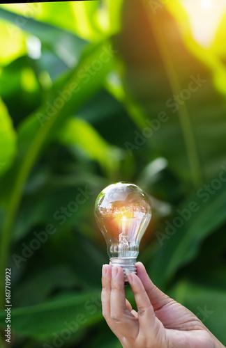 light bulbs green on background