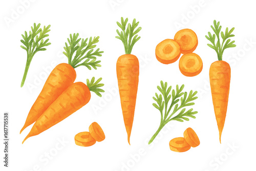 A set of hand-drawn watercolor carrots featuring whole, sliced, and leafy parts. Vibrant orange tones and soft textures give a fresh, organic, and artistic look on a white background.