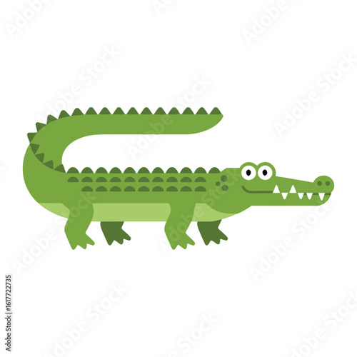 Crocodile vector illustration on white background.