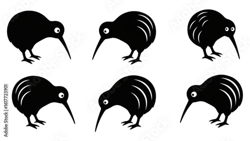 Six black kiwi birds isolated on white background