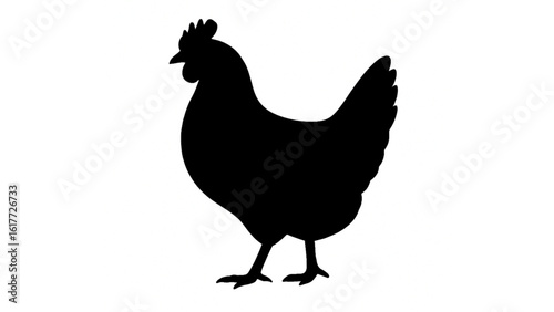 A silhouette of a chicken isolated on white background