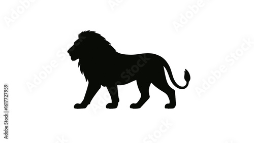 Silhouette of a lion walking with its mane isolated on white background