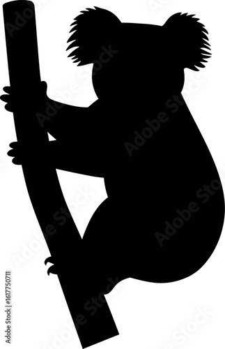 Koala silhouette climbing eucalyptus tree branch
