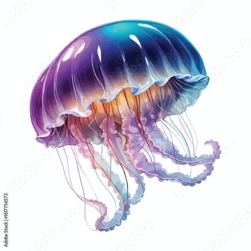 Jelly Fish Vector