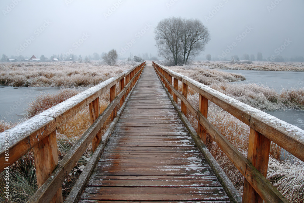 Naklejka premium Wooden bridge with frost over frozen marshland in winter