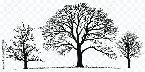 Silhouette of Three Trees with Bare Branches in Winter a Striking Natural Landscape Illustration