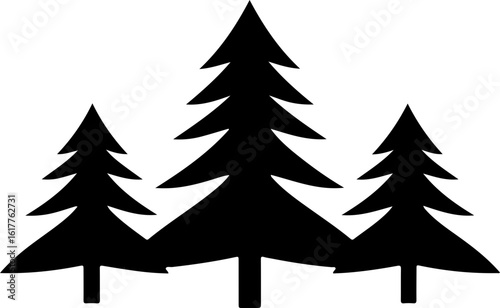 Three evergreen trees silhouette, natural beauty