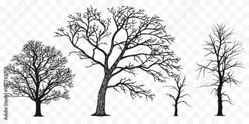 Silhouette of Bare Trees Set Against a Transparent Background for Versatile Design Projects and Ecological Illustrations