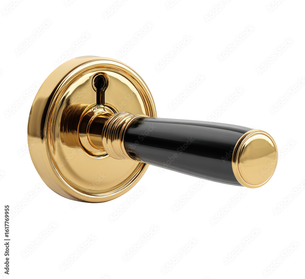 Polished brass door handle with black lacquered wooden lever Polished brass door handle with black lacquered wooden lever