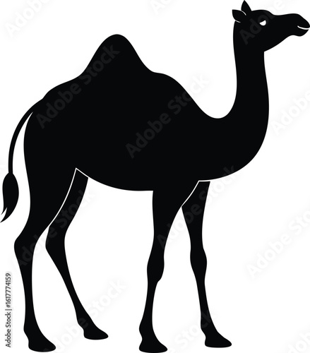 Solid Black Camel Silhouette