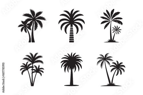 Silhouette Collection of Tropical Palm Trees for Summer Vacation and Coastal Design Projects Black and White Vector Set