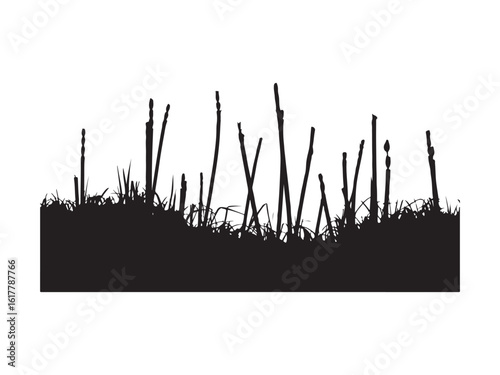 Tall grass and reeds silhouette vector isolated on white background