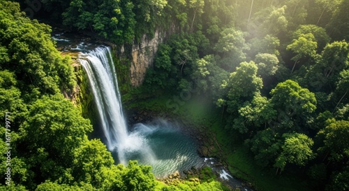 Aerial view of a waterfall cascading into a pool surrounded by lush green trees and vegetation