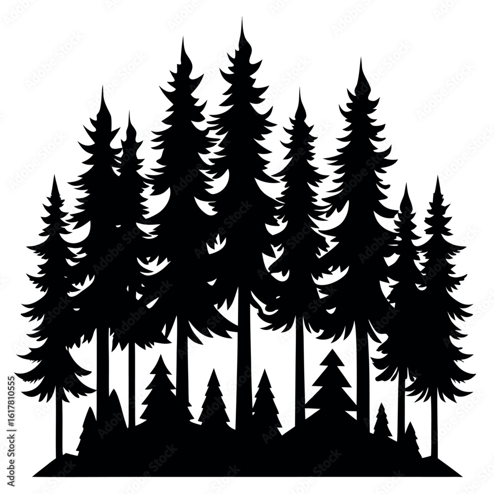 Fototapeta premium Dense pine tree forest silhouette with strong outline isolated on white background
