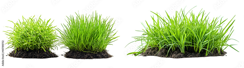 Grass and soil isolated on a transparent background Grass and soil isolated on a transparent background