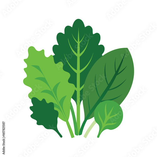 mixed leafy greens kale arugula spinach