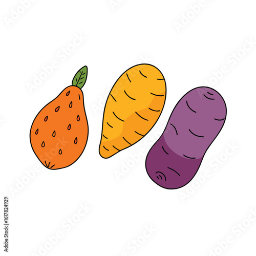 hand sketched sweet potato yam and potato group