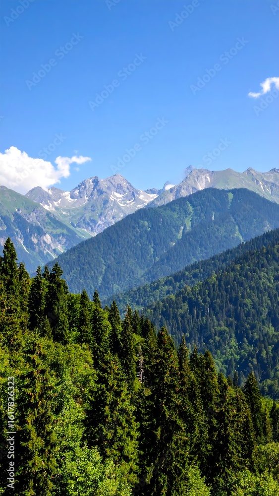 Obraz premium Mountainous landscape, lush forests