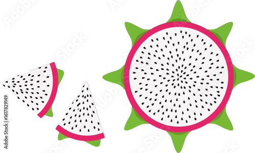 Vector art of vector illustration of dragon fruit slices, a vibrant and exotic tropical fruit known for its unique appearance and refreshing taste