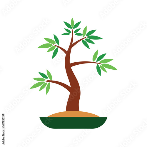bonsai tree and bamboo