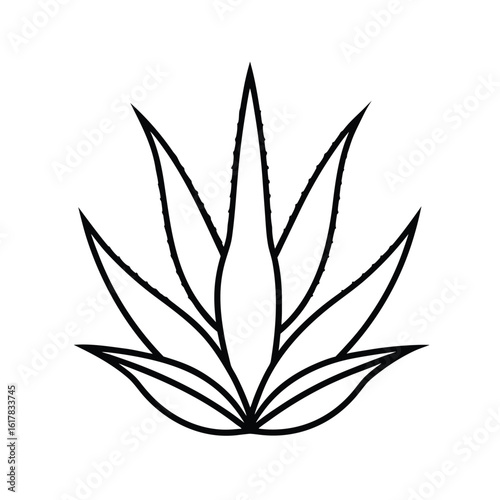 aloe vera line art