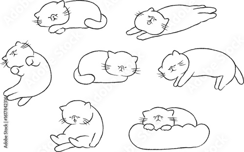 寝ている猫・エキゾチックショートヘア/イラストセット/線のみ