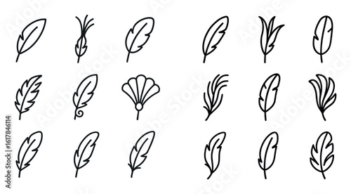 Minimalist Feather Icons