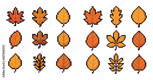 Autumn Leaf Collection