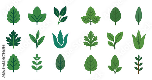 Herbal Leaf Icons