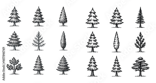 Conifer Icon Grid