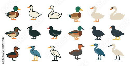 Colorful Waterfowl Icons