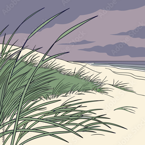 reeds in the morning