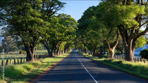 Wallpaper Mural A serene tree-lined road stretches into the distance, framed by lush greenery, inviting a sense of peace and tranquility. Torontodigital.ca