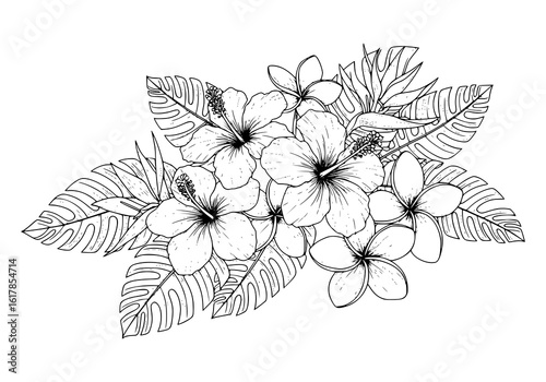 Exotic floral line art design element for invitations, branding, and tropical summer promotions. coloring page for adult