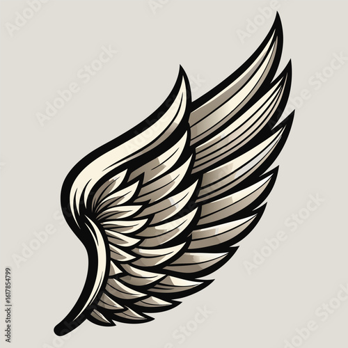 vector illustration of a feather