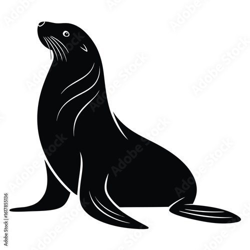 Black sea lion silhouette with white accents on white background animal